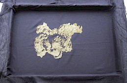 Goldstücke - Golden Treasures