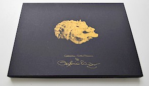 Goldstücke - Golden Treasures